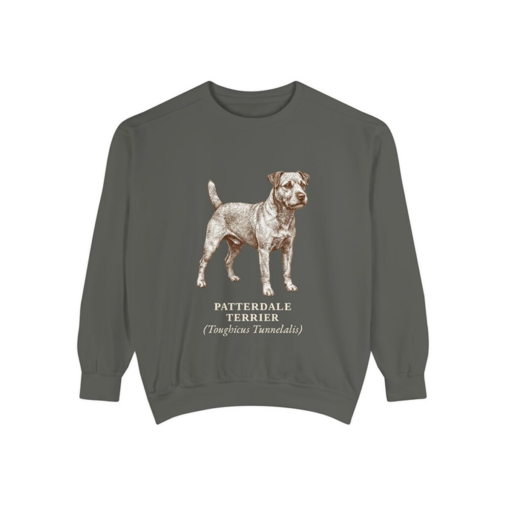 patterdale-terrier-sweatshirt-latin-pepper Patterdale Terrier Latin Sweatshirt, Pepper, front view