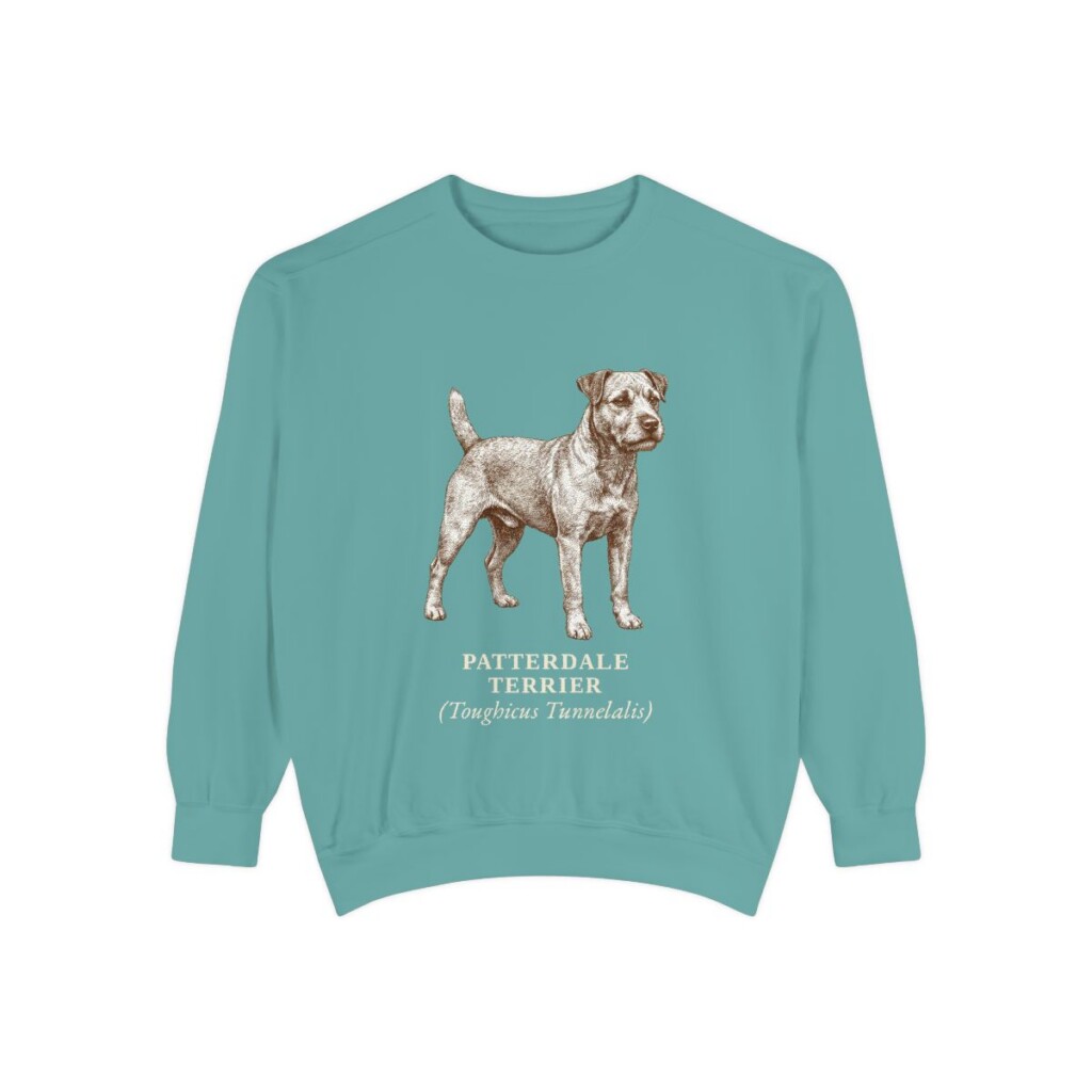patterdale-terrier-sweatshirt-latin-seafoam Patterdale Terrier Latin Sweatshirt, Seafoam, front view