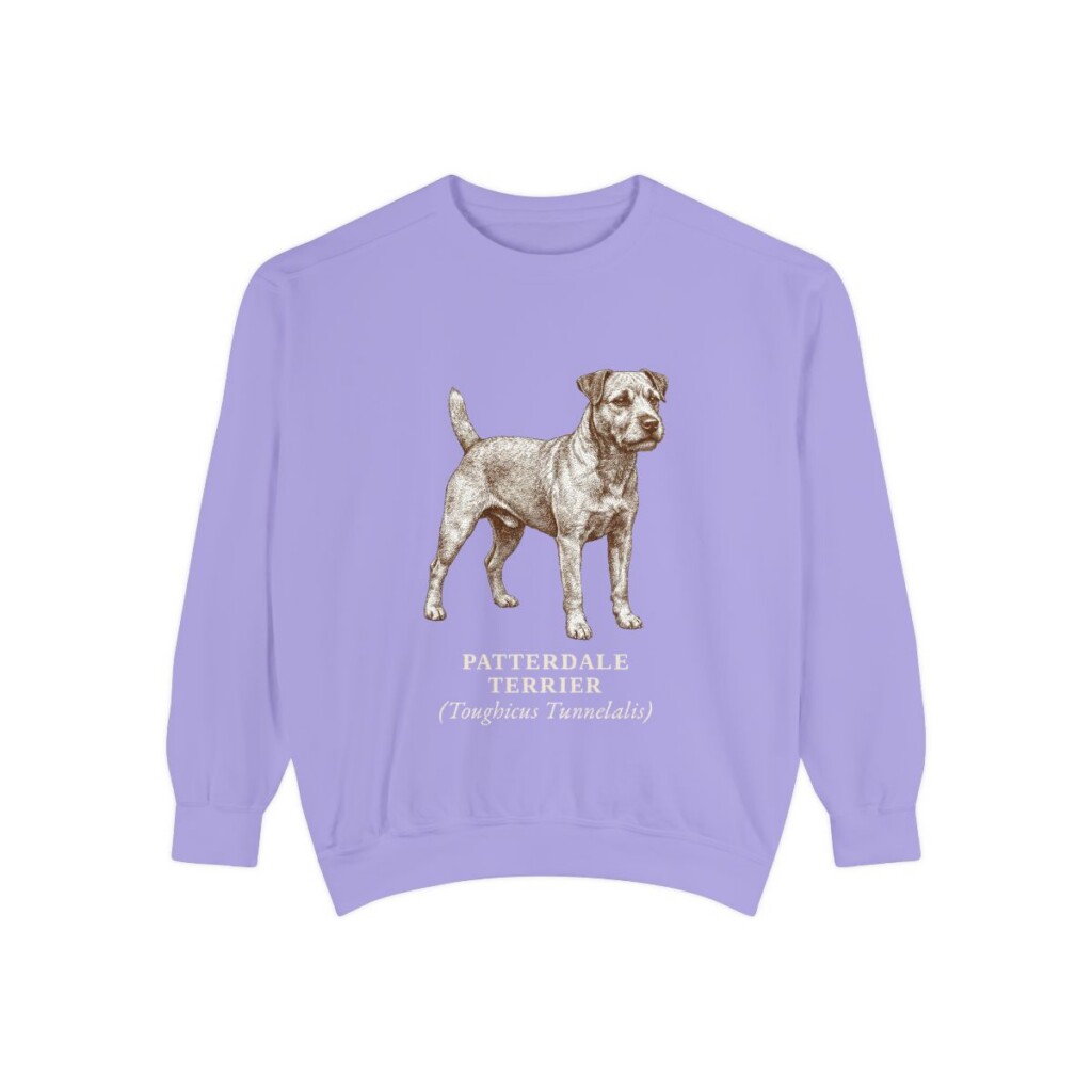 patterdale-terrier-sweatshirt-latin-violet Patterdale Terrier Latin Sweatshirt, Violet, front view