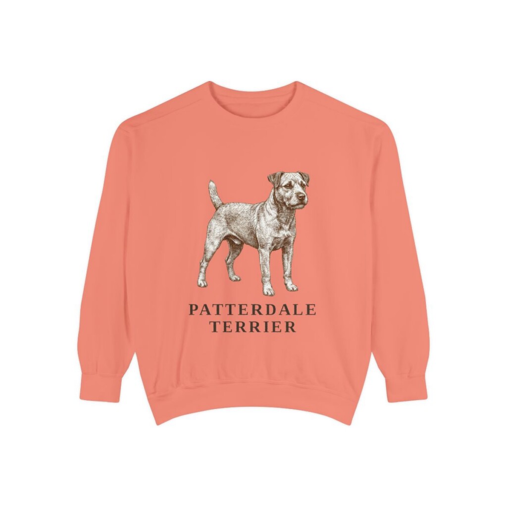 Patterdale Terrier Sweatshirt, Terracotta, front view