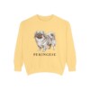 Pekingese Sweatshirt, Butter, front view