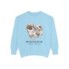 pekingese-sweatshirt-latin-chambray-1 Pekingese Latin Sweatshirt, Chambray, front view