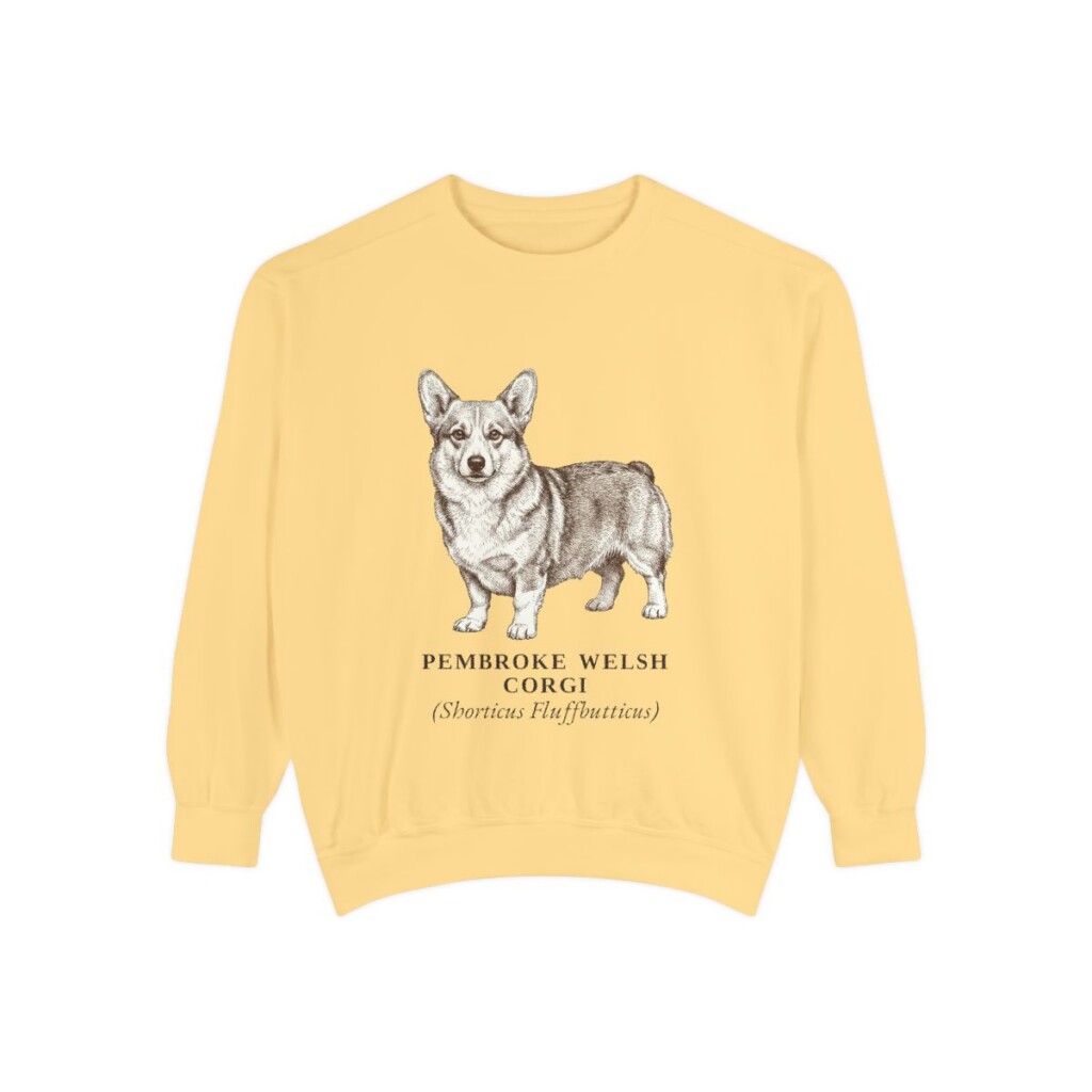 Pembroke Welsh Corgi Latin Sweatshirt, Butter, front view