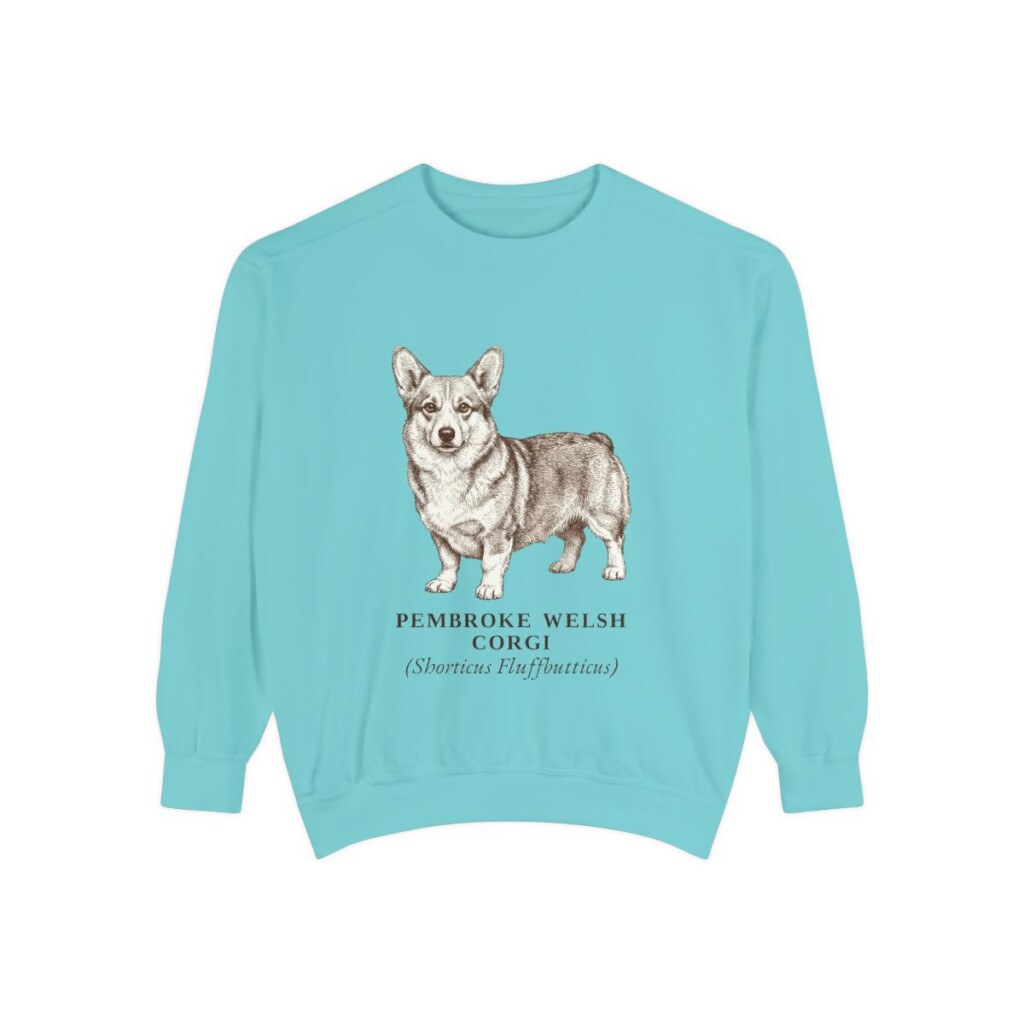 Pembroke Welsh Corgi Latin Sweatshirt, Chalky Mint, front view