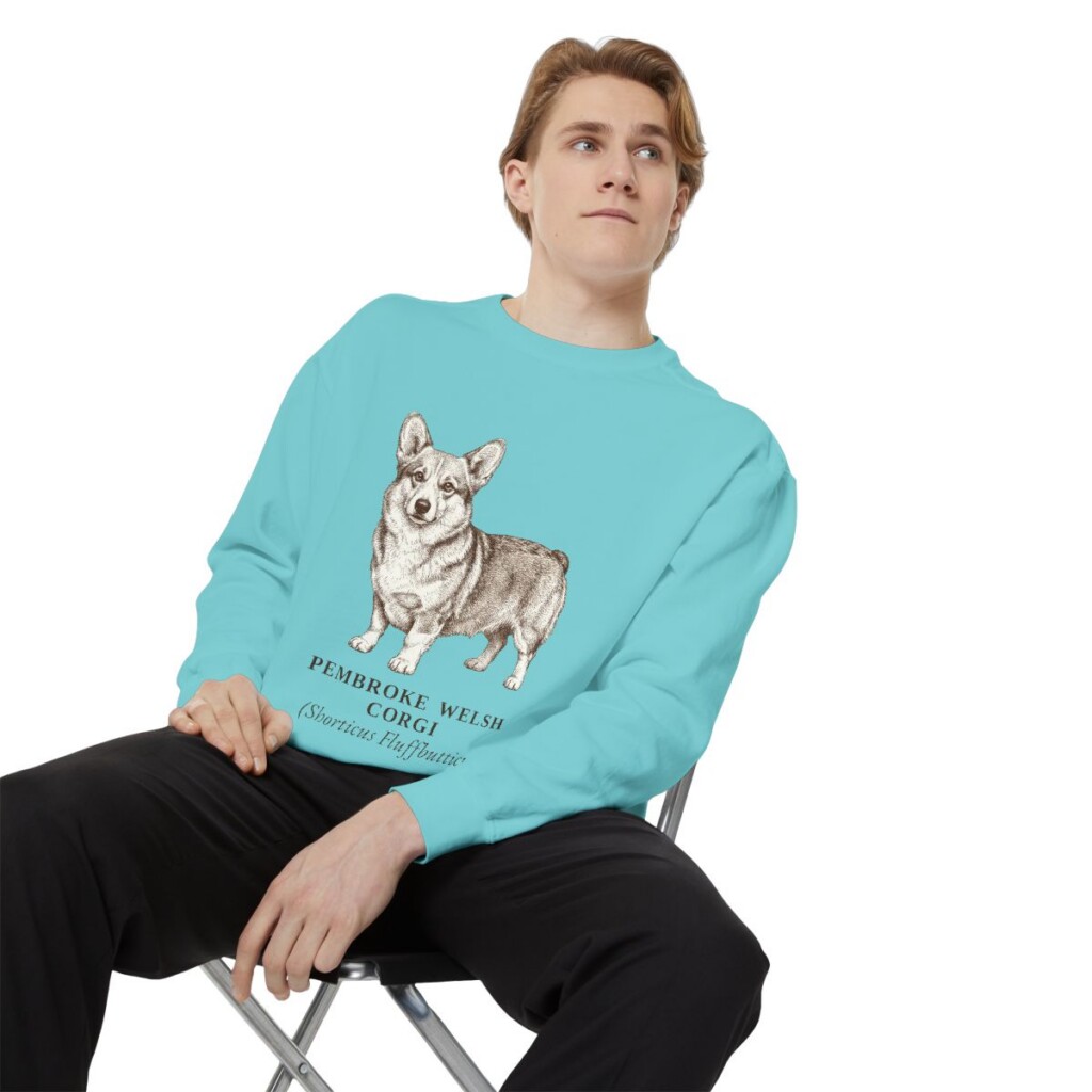 Pembroke Welsh Corgi Latin Sweatshirt, Chalky Mint, person 1 context
