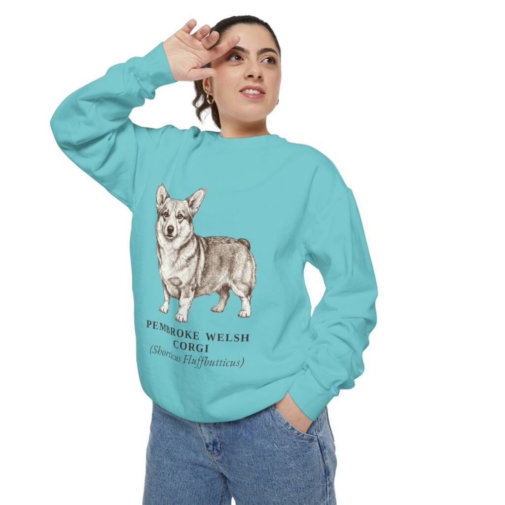 Pembroke Welsh Corgi Latin Sweatshirt, Chalky Mint, person 2 context