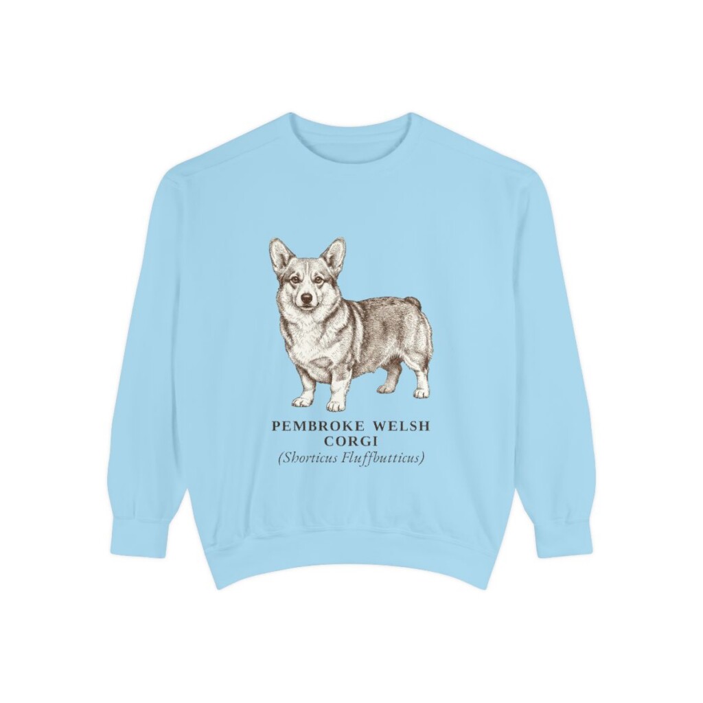 Pembroke Welsh Corgi Latin Sweatshirt, Chambray, front view