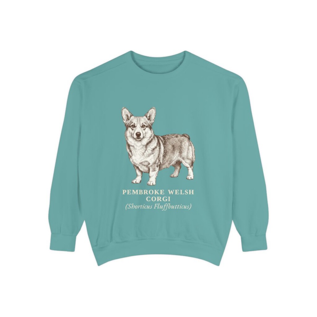 Pembroke Welsh Corgi Latin Sweatshirt, Seafoam, front view