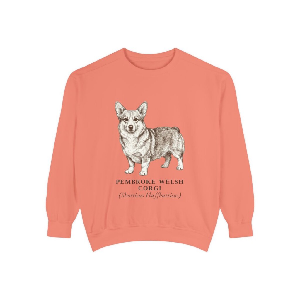 Pembroke Welsh Corgi Latin Sweatshirt, Terracotta, front view
