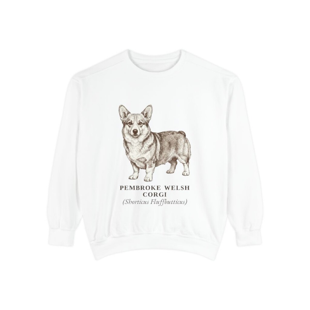 Pembroke Welsh Corgi Latin Sweatshirt, White, front view
