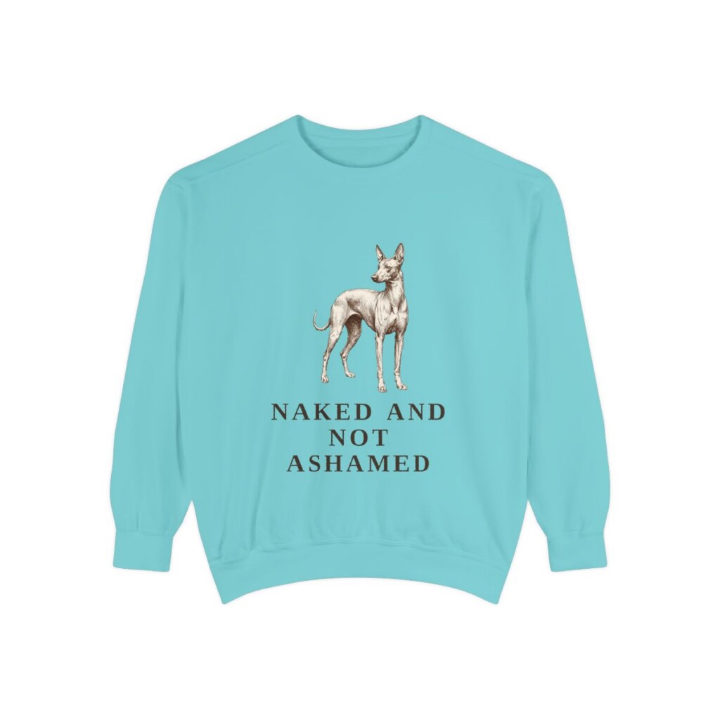Peruvian Inca Orchid Humor Sweatshirt, Chalky Mint, front view