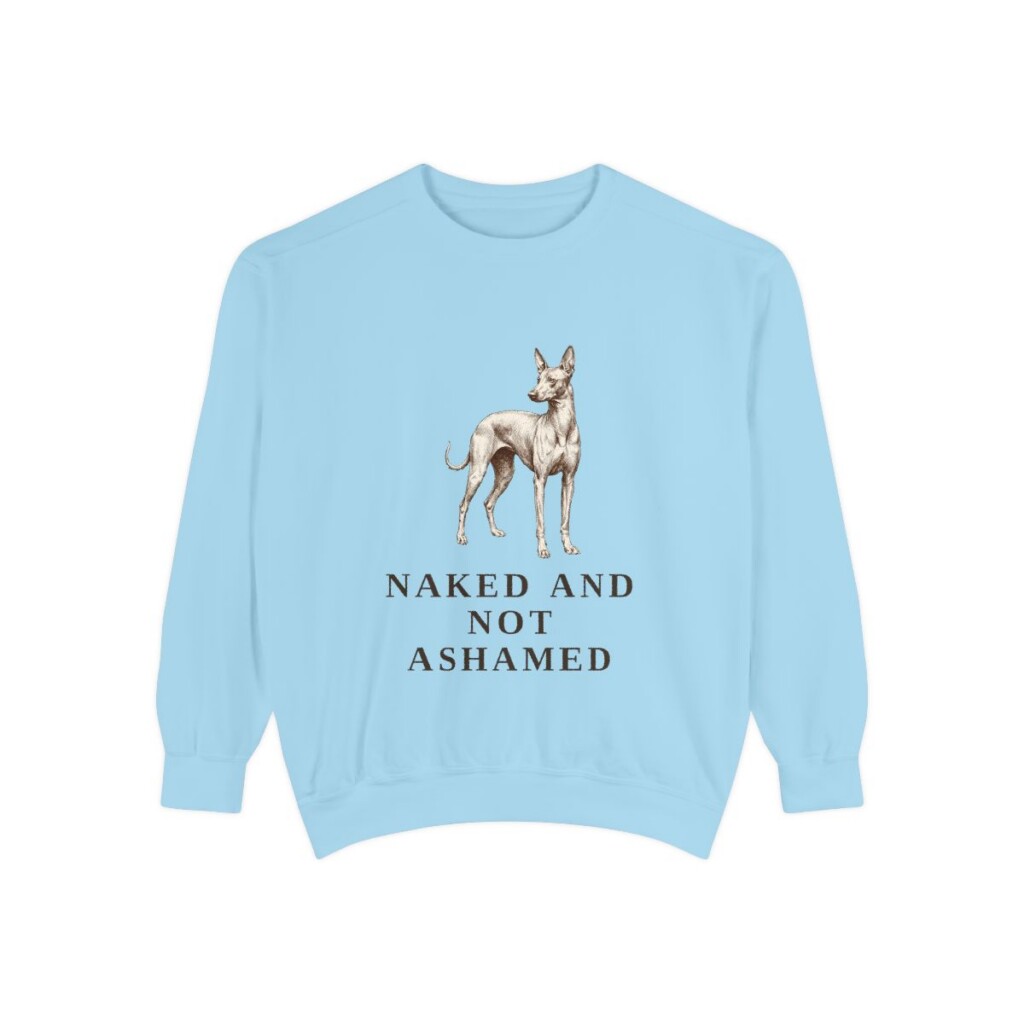 Peruvian Inca Orchid Humor Sweatshirt, Chambray, front view