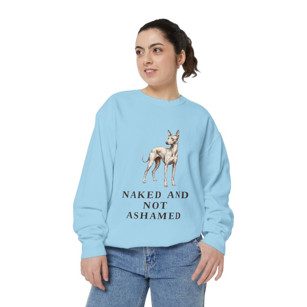 Peruvian Inca Orchid Humor Sweatshirt, Chambray, person 2 front