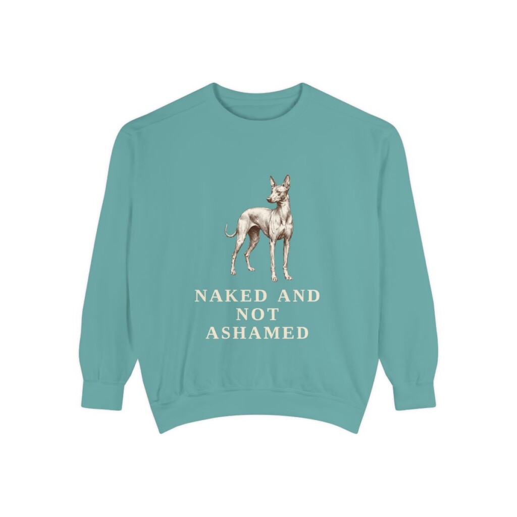 Peruvian Inca Orchid Humor Sweatshirt, Seafoam, front view