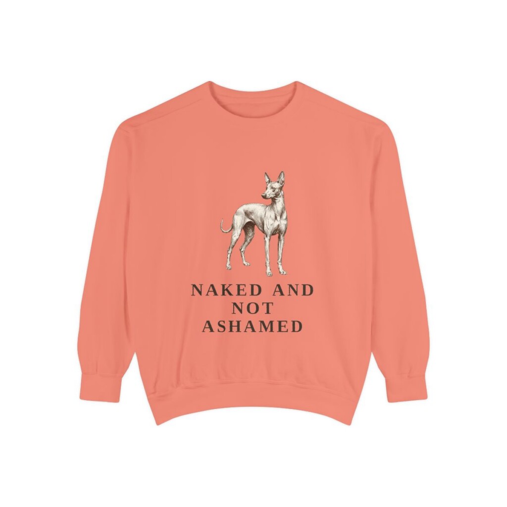 Peruvian Inca Orchid Humor Sweatshirt, Terracotta, front view