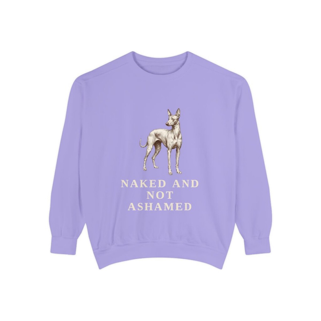 Peruvian Inca Orchid Humor Sweatshirt, Violet, front view