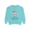 petit-basset-griffon-vendeen-sweatshirt-humor-chalky-mint Petit Basset Griffon Vendeen Humor Sweatshirt, Chalky Mint, front view