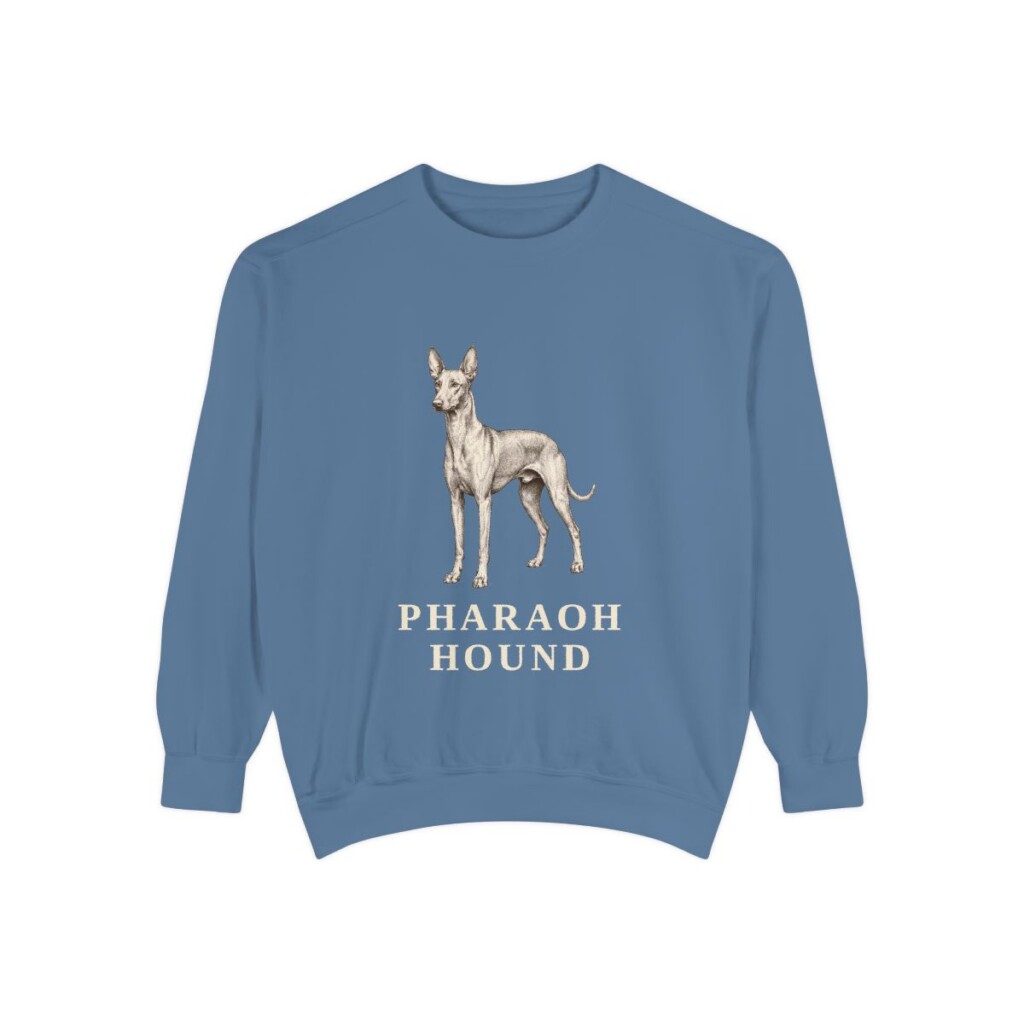 Pharaoh Hound Sweatshirt, Blue Jean, front view