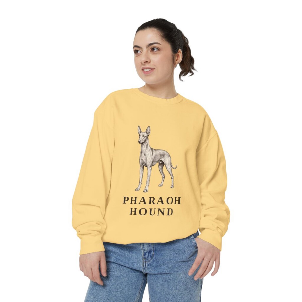 Pharaoh Hound Sweatshirt, Butter, person 2 front