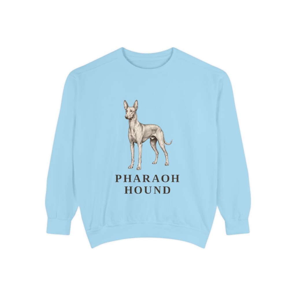 Pharaoh Hound Sweatshirt, Chambray, front view