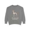 Pharaoh Hound Sweatshirt, Grey, front view