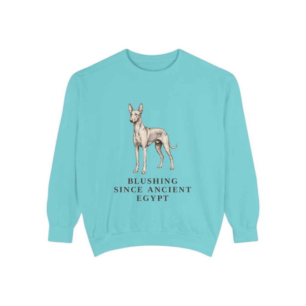 Pharaoh Hound Humor Sweatshirt, Chalky Mint, front view