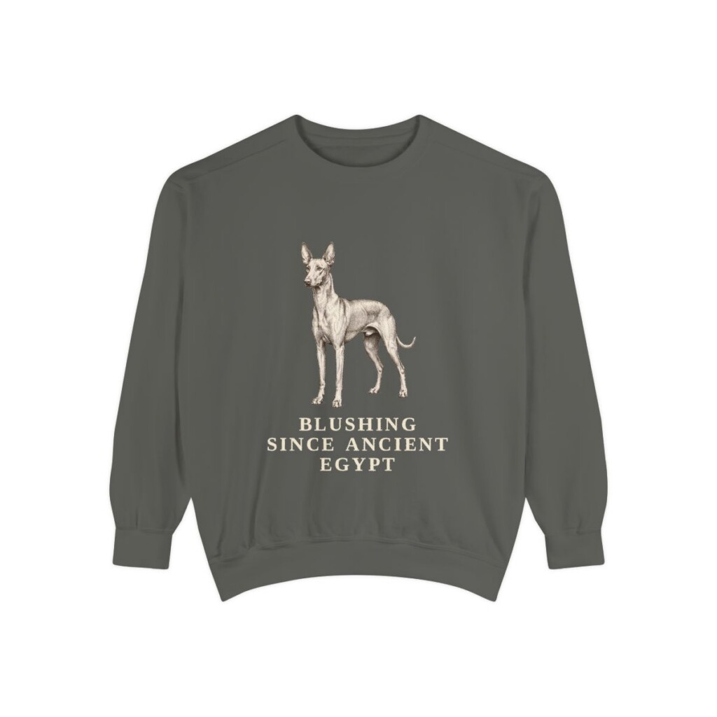 Pharaoh Hound Humor Sweatshirt, Pepper, front view