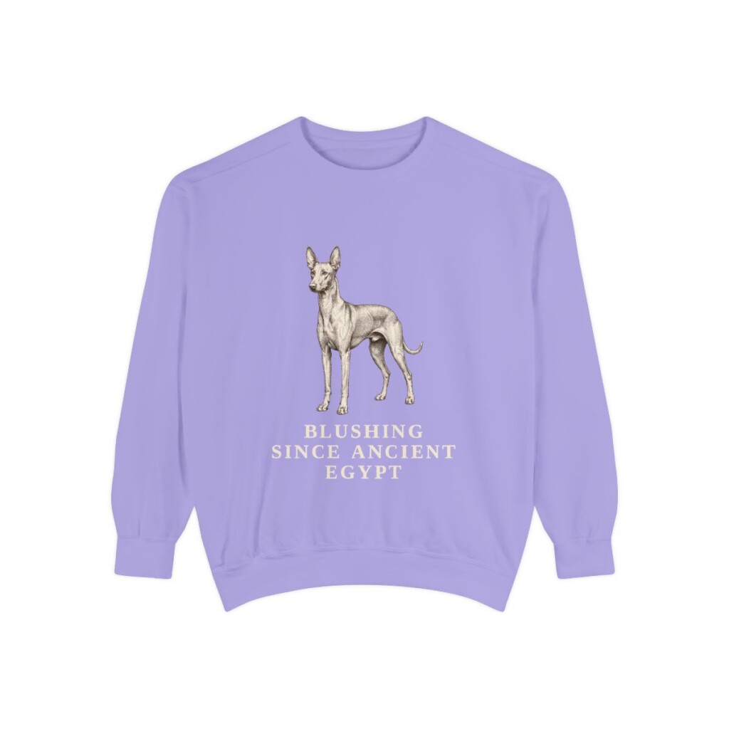 Pharaoh Hound Humor Sweatshirt, Violet, front view