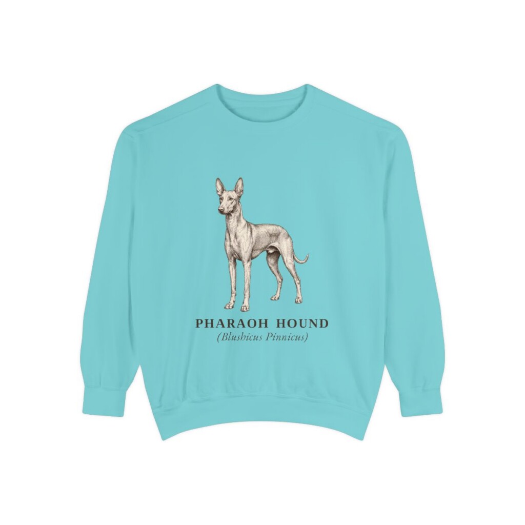 Pharaoh Hound Latin Sweatshirt, Chalky Mint, front view