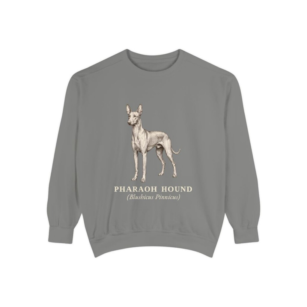 Pharaoh Hound Latin Sweatshirt, Grey, front view