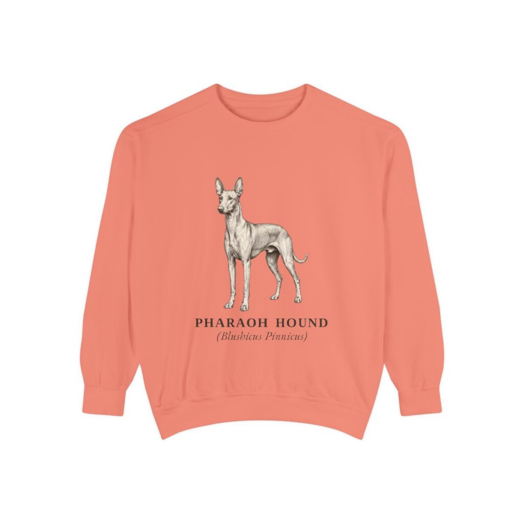 Pharaoh Hound Latin Sweatshirt, Terracotta, front view