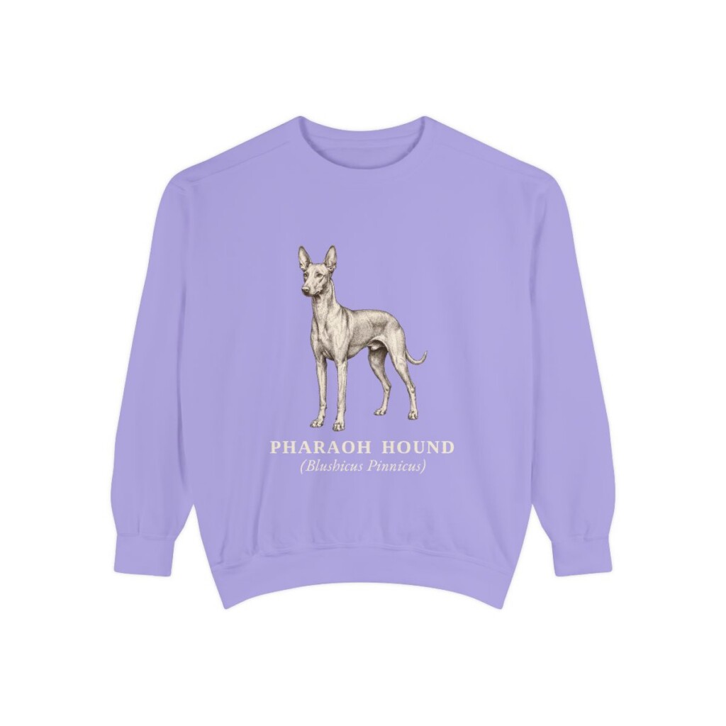 Pharaoh Hound Latin Sweatshirt, Violet, front view
