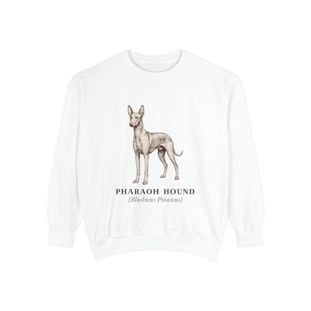 Pharaoh Hound Latin Sweatshirt, White, front view