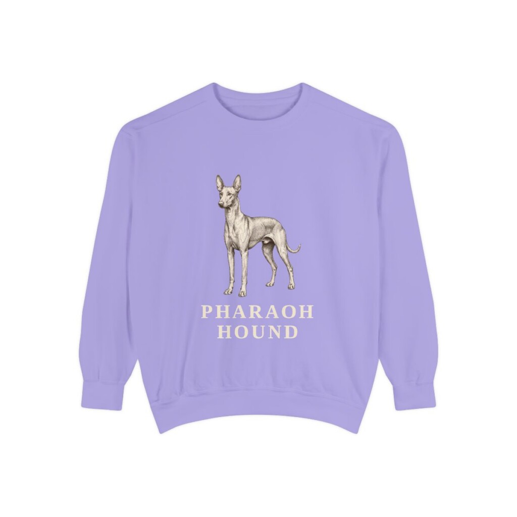 Pharaoh Hound Sweatshirt, Violet, front view