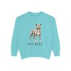 Pit Bull Sweatshirt, Chalky Mint, front view