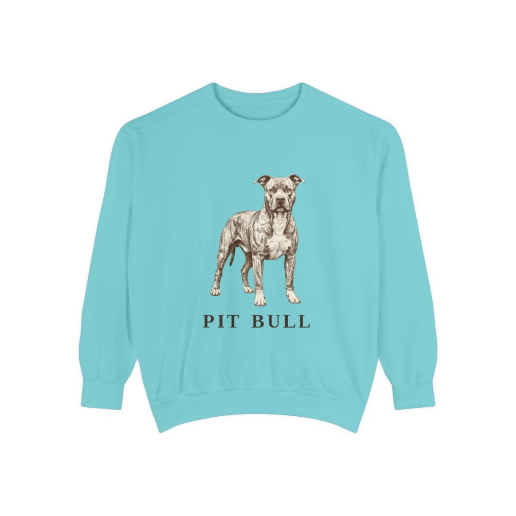 Pit Bull Sweatshirt, Chalky Mint, front view