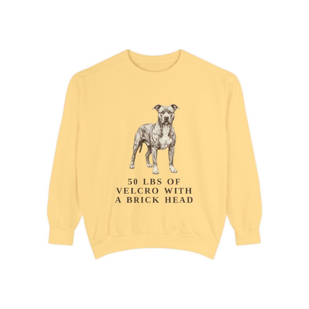 pit-bull-sweatshirt-humor-butter Pit Bull Humor Sweatshirt, Butter, front view