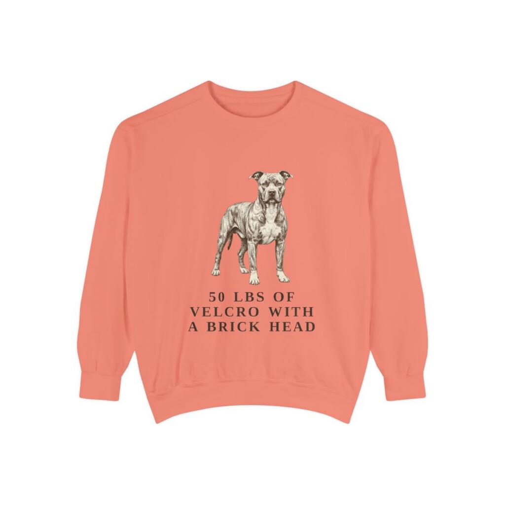 pit-bull-sweatshirt-humor-terracotta Pit Bull Humor Sweatshirt, Terracotta, front view