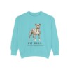 Pit Bull Latin Sweatshirt, Chalky Mint, front view