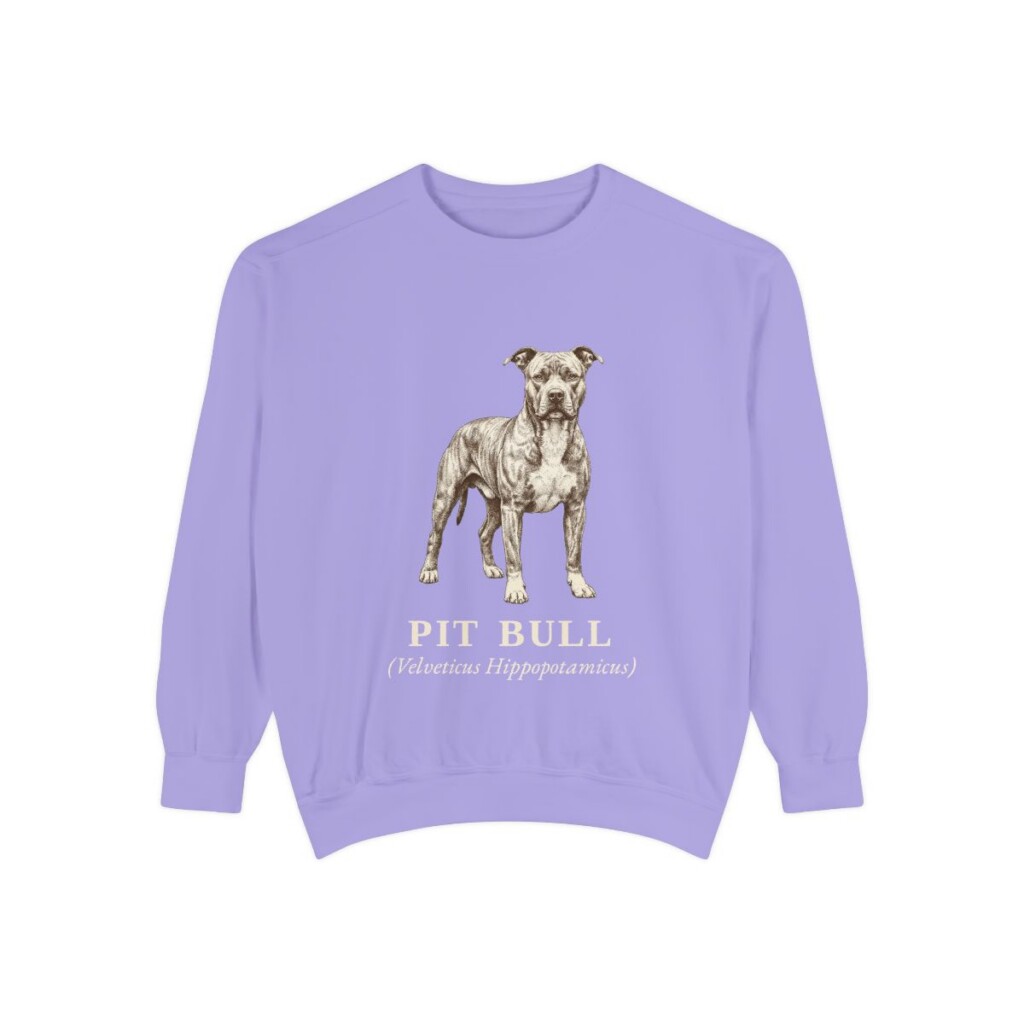 Pit Bull Latin Sweatshirt, Violet, front view