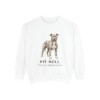 Pit Bull Latin Sweatshirt, White, front view