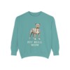 Pit Bull Mom Sweatshirt, Seafoam, front view