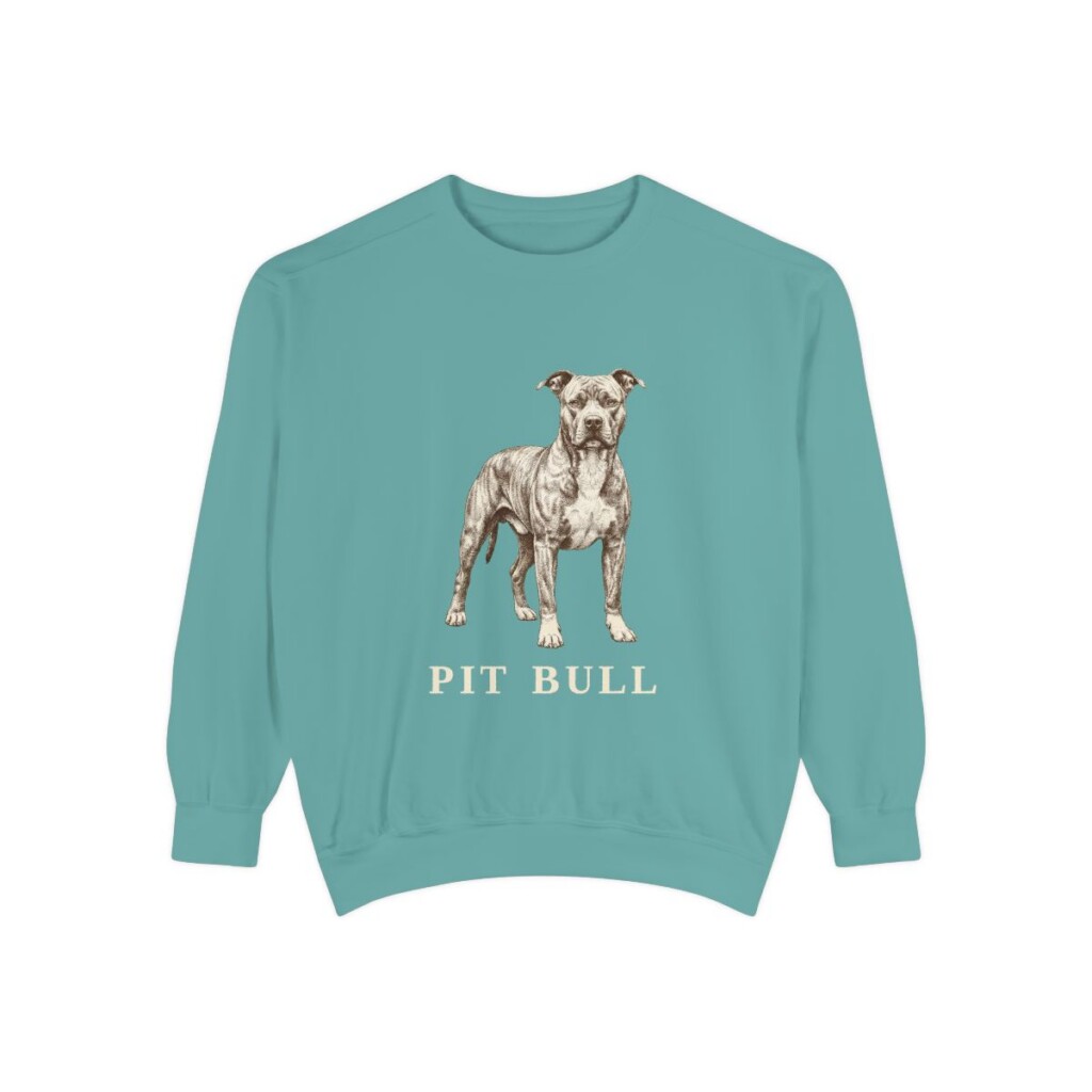 Pit Bull Sweatshirt, Seafoam, front view