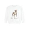 Pit Bull Sweatshirt, White, front view