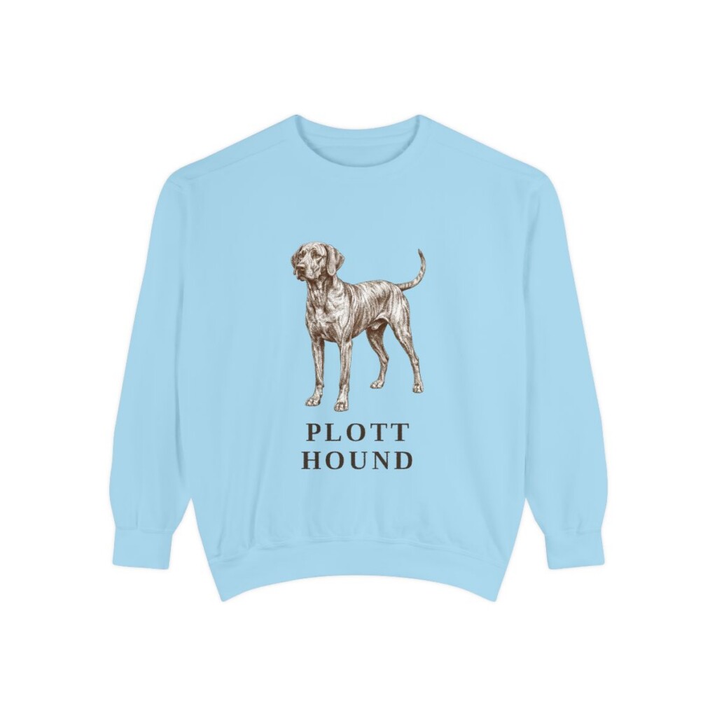 Plott Hound Sweatshirt, Chambray, front view