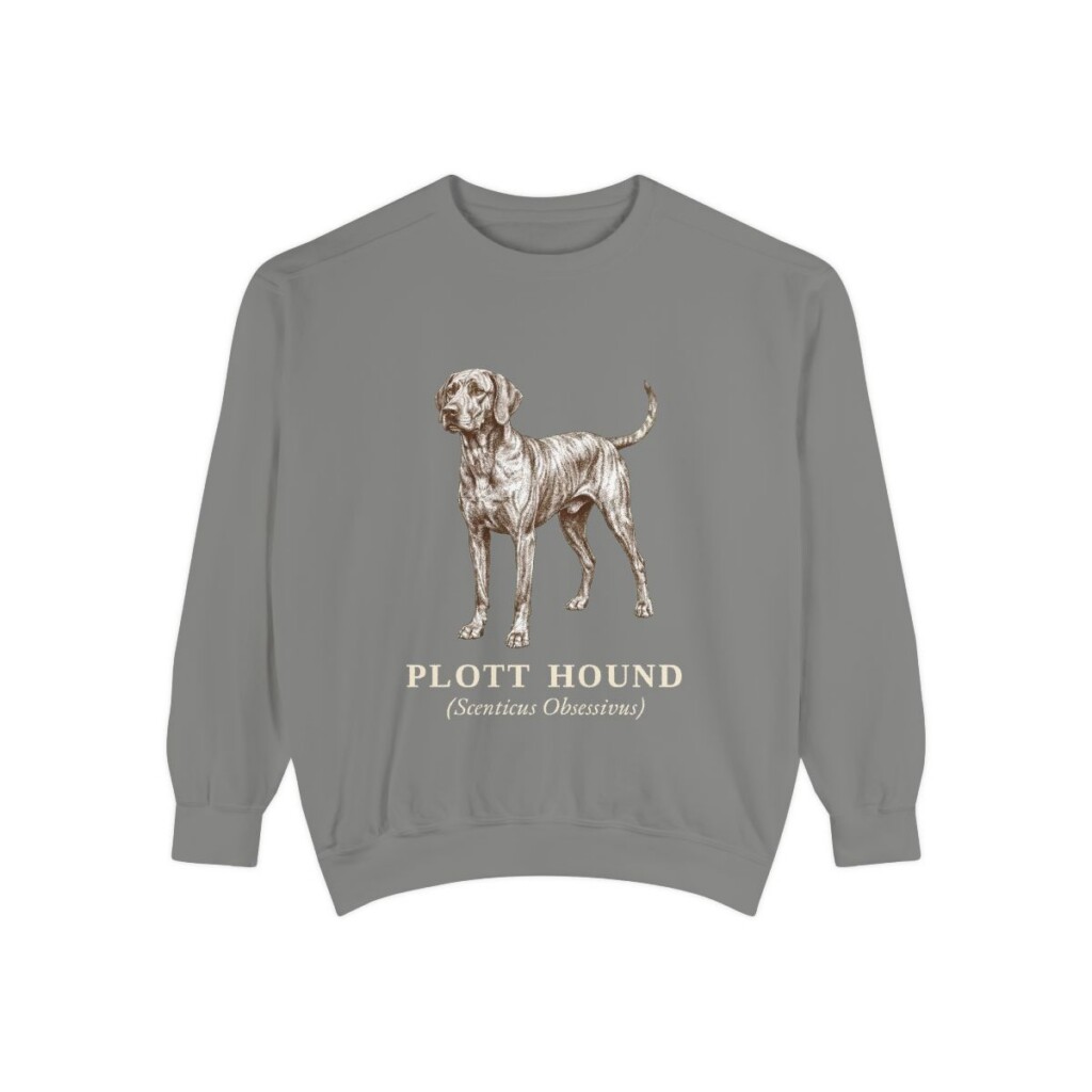 Plott Hound Latin Sweatshirt, Grey, front view