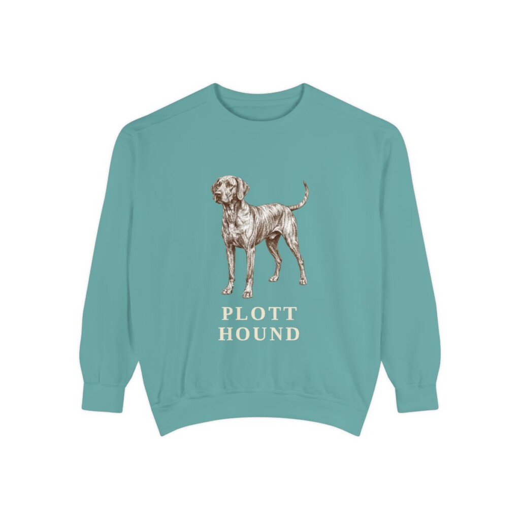 Plott Hound Sweatshirt, Seafoam, front view