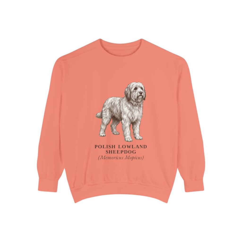 polish-lowland-sheepdog-sweatshirt-latin-terracotta Polish Lowland Sheepdog Latin Sweatshirt, Terracotta, front view