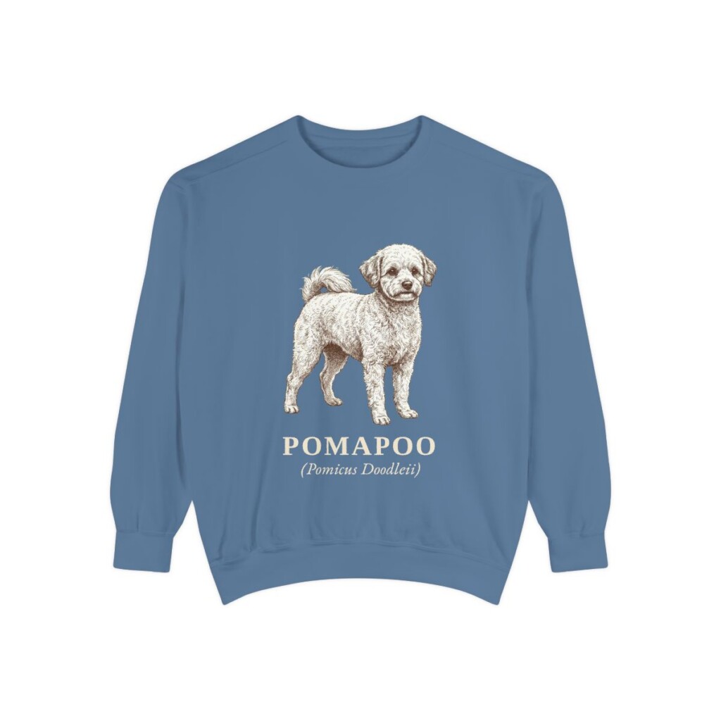 Pomapoo Latin Sweatshirt, Blue Jean, front view