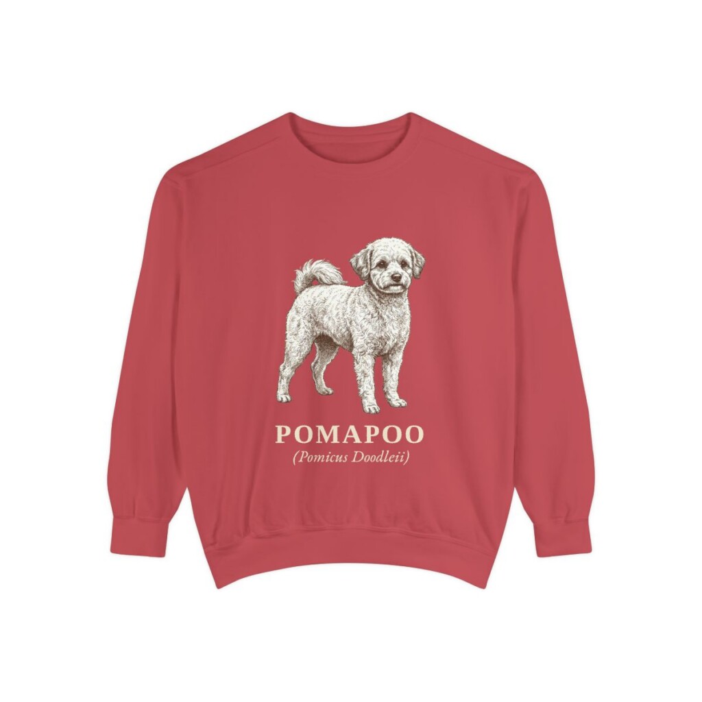 Pomapoo Latin Sweatshirt, Crimson, front view
